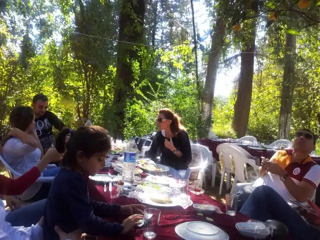 Şehre Küstü Kahvaltı Evi'nin yemek ve ambiyans fotoğrafları 3