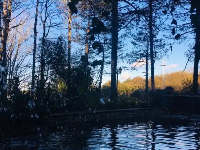 Boğazköy Mesire Alanı'nin yemek ve ambiyans fotoğrafları 6