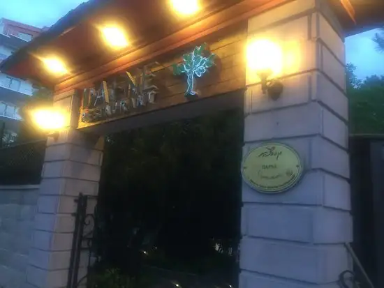 Dafne Restaurant'nin yemek ve ambiyans fotoğrafları 36