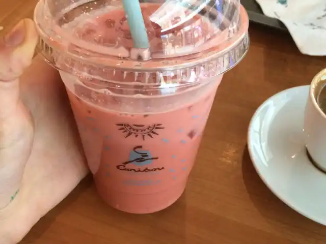 Caribou Coffee'nin yemek ve ambiyans fotoğrafları 55