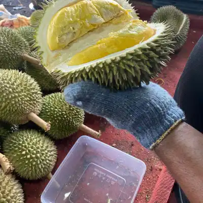 Durian Brothers Sijangkang