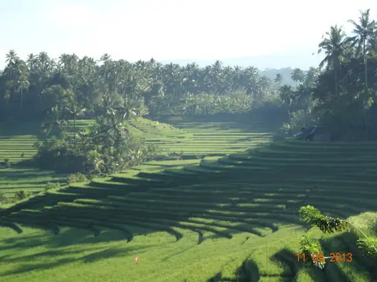 Gambar Makanan Warung Tepi Sawah 12