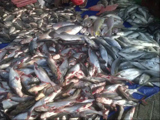 Gambar Makanan Depo "Pasar Ikan" Sidoarjo 7