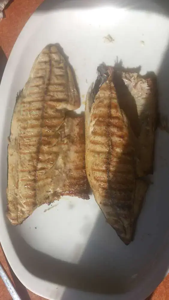Orkinos Balık Lokantası'nin yemek ve ambiyans fotoğrafları 37