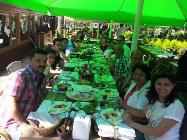 Trabzon Park Orman Cafe'nin yemek ve ambiyans fotoğrafları 9