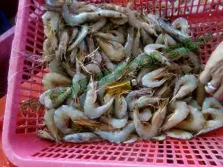 Tauke Seafood Sabah