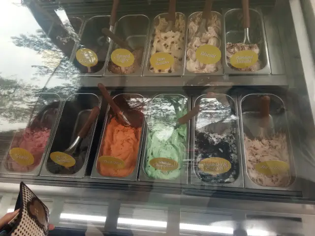 Gambar Makanan NomosGelato 8