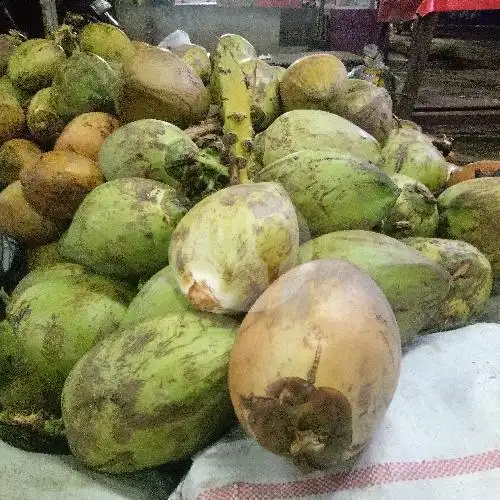 Gambar Makanan Ketoprak Sedap Malam Bang Dani, Sawangan 10