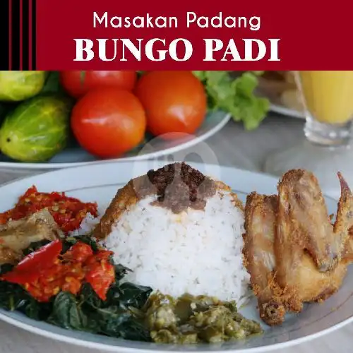 Gambar Makanan Rumah Makan Padang Bungo Padi, Canggu 11