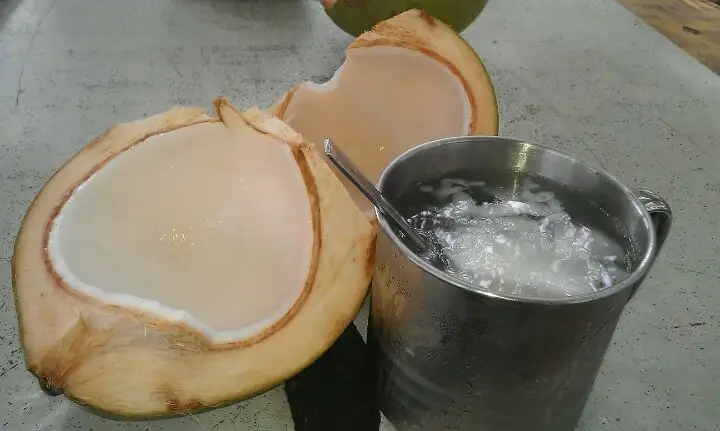 Rantau Panjang Air Kelapa Food Photo 7