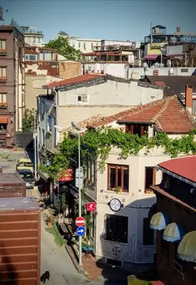 Mitara Cafe &amp; Art'nin yemek ve ambiyans fotoğrafları 2