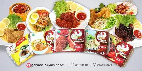 Ayam Kane, Senayan