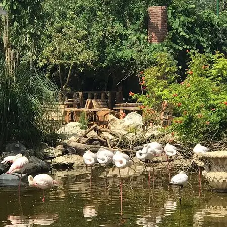 FlamingoKöy Kahvaltı Barbekü'nin yemek ve ambiyans fotoğrafları 3