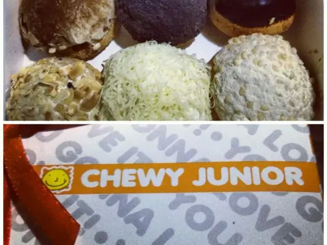 Chewy Junior Food Photo 16