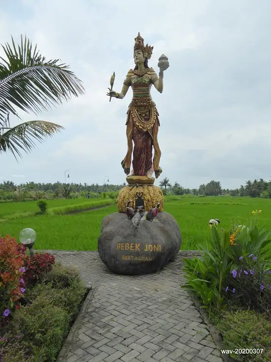 Gambar Makanan Bebek Joni Restaurant, Ubub 10