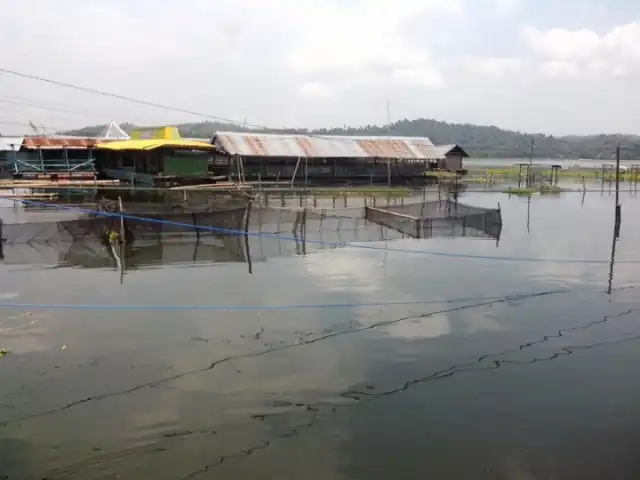 Gambar Makanan Rumah Makan Apung ILHAM 01 12