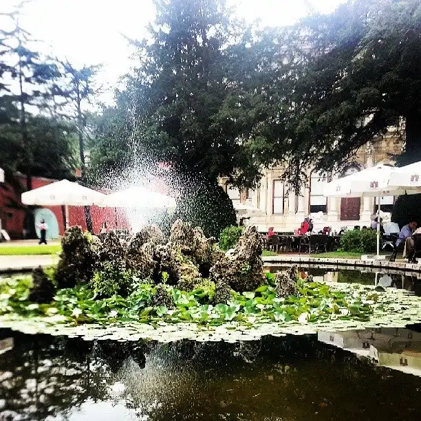 Beylerbeyi Sarayı / Saray Cafe'nin yemek ve ambiyans fotoğrafları 20