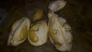 Rumbia Cendol Durian