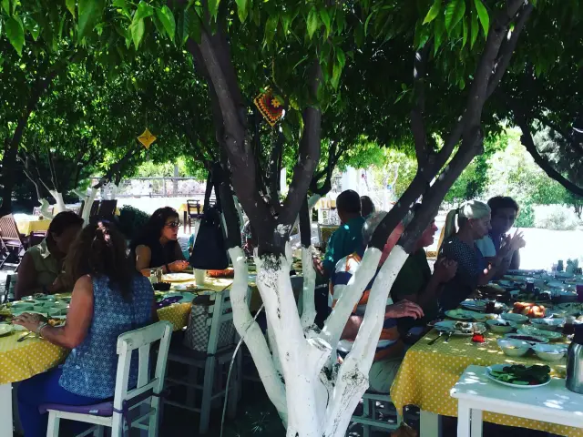 Limonatta Bitez'nin yemek ve ambiyans fotoğrafları 53