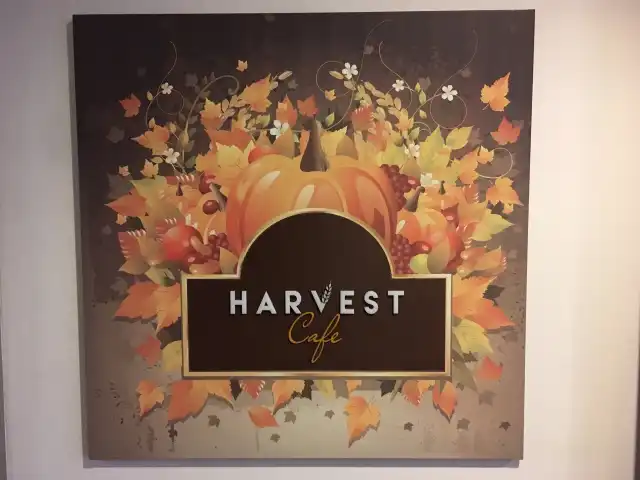 Harvest Cafe'nin yemek ve ambiyans fotoğrafları 15