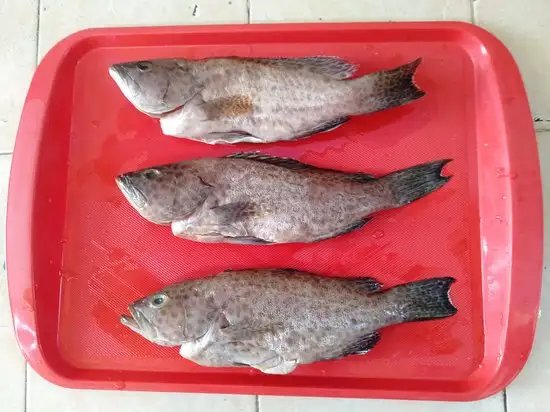 Gambar Makanan WIB_Waroeng Ikan Bakar Suroboyo 16