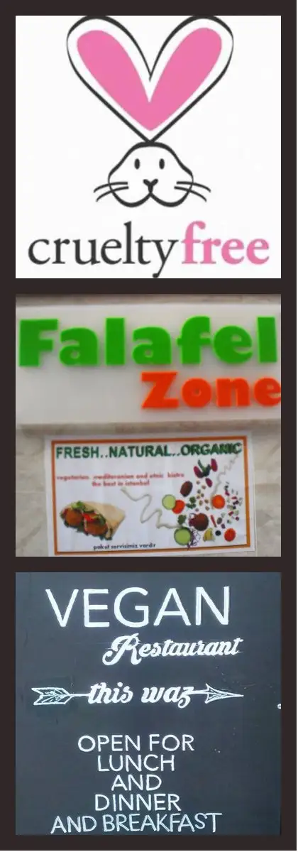 Falafel Zone'nin yemek ve ambiyans fotoğrafları 28