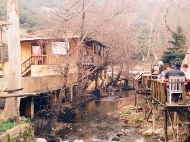 beykoz riva et mangal'nin yemek ve ambiyans fotoğrafları 3