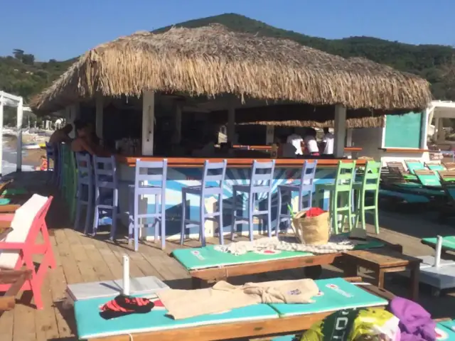 Fedora Restaurant  Beach club'nin yemek ve ambiyans fotoğrafları 6