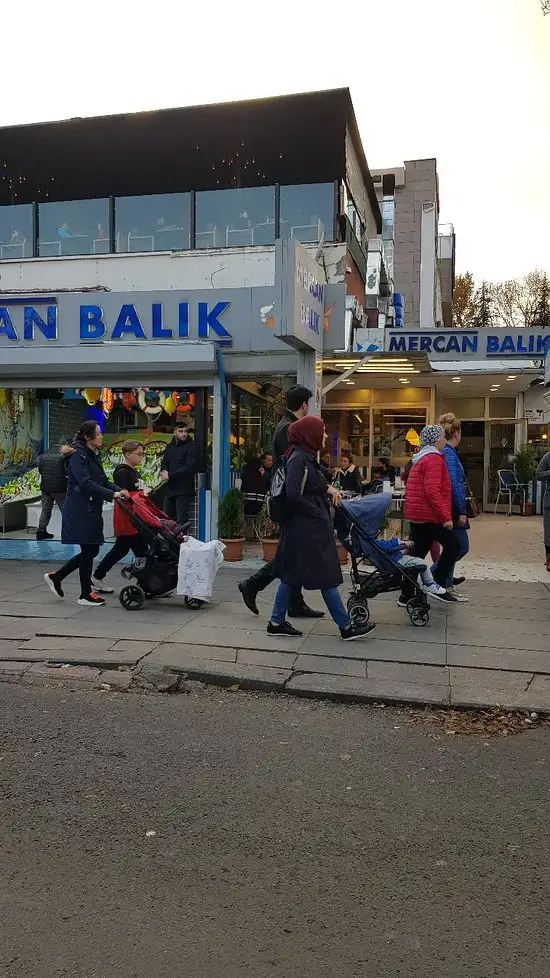 Mercan Balık'nin yemek ve ambiyans fotoğrafları 58