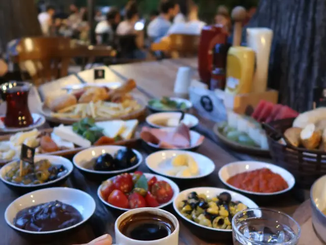 Zeytin Kafe & Bar'nin yemek ve ambiyans fotoğrafları 12