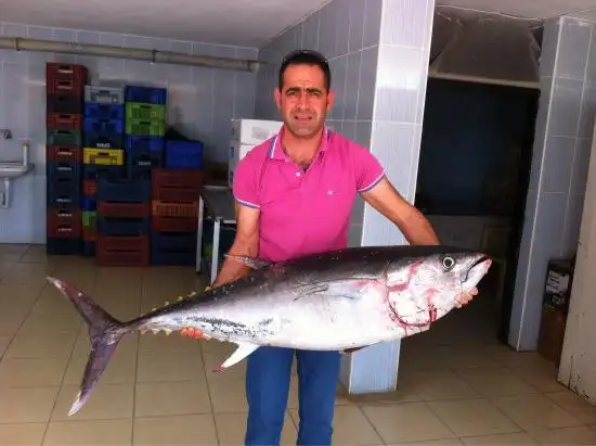 Salimin Yeri Balik Lokantasi'nin yemek ve ambiyans fotoğrafları 15