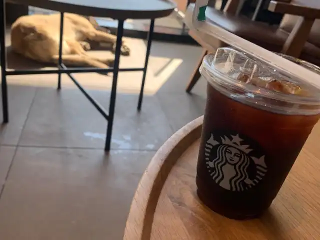 Starbucks'nin yemek ve ambiyans fotoğrafları 3