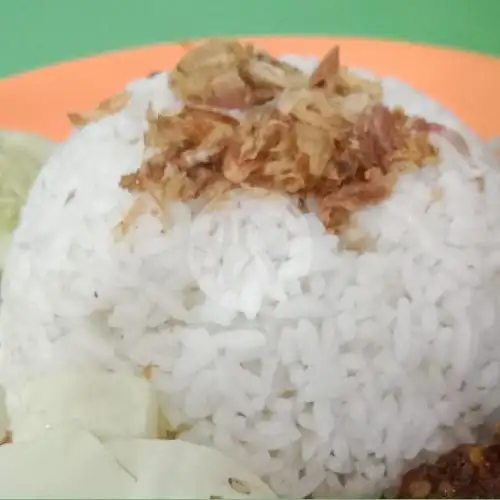 Gambar Makanan NASI BEBEK AT-TAUFIQ 7