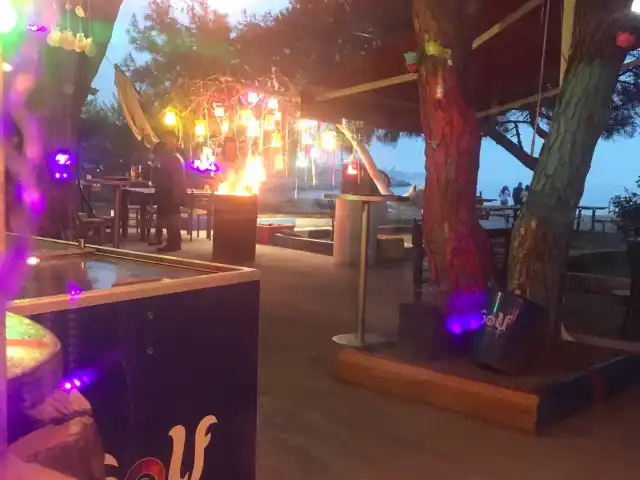 Şişecam Piknik Cafe'nin yemek ve ambiyans fotoğrafları 7