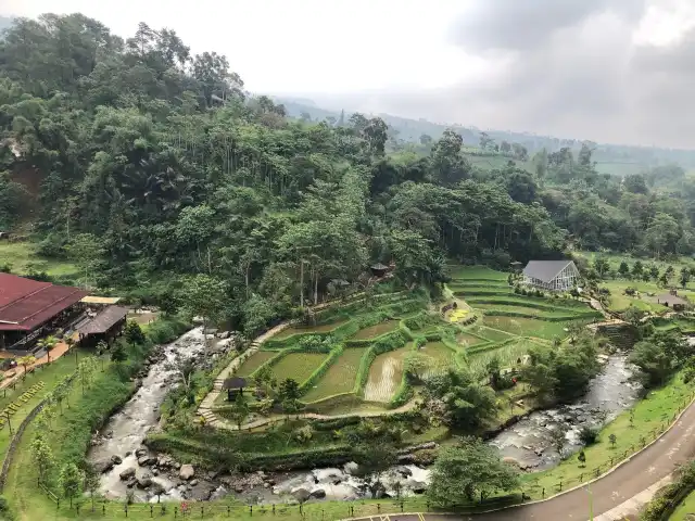 Gambar Makanan Bebek Tepi Sawah Cilloto Sahid Eminence 5