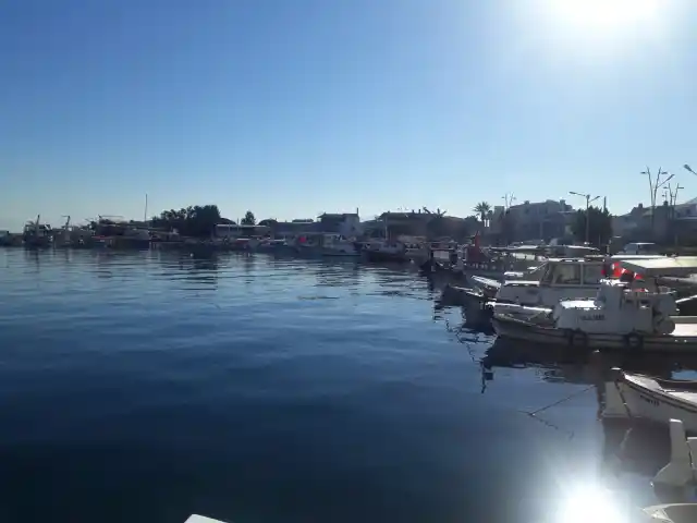 Sahilevleri Barınak Cay Ocağı'nin yemek ve ambiyans fotoğrafları 13