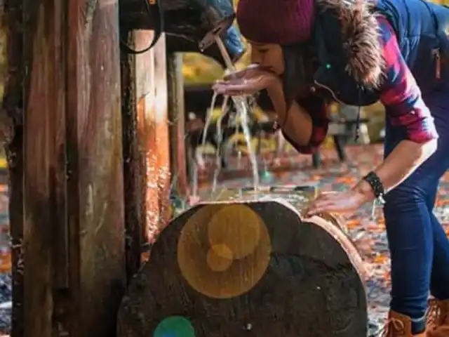 yedigöller'nin yemek ve ambiyans fotoğrafları 2