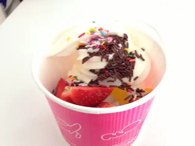 Snogurt Food Photo 6