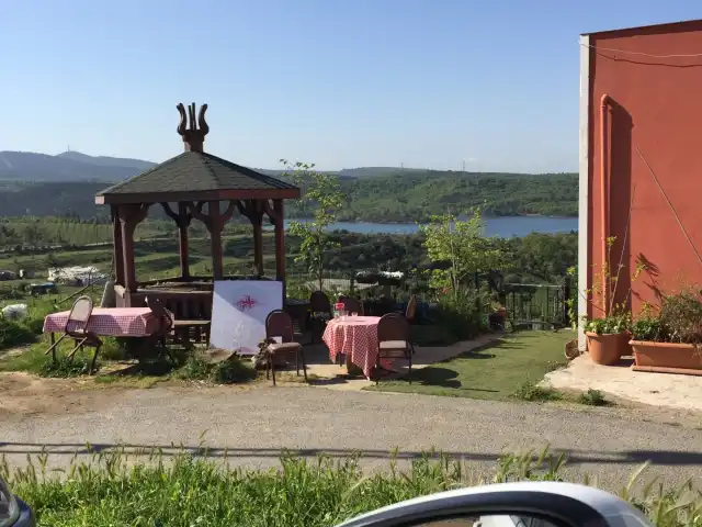 Lezzetin Ustası Restaurant'nin yemek ve ambiyans fotoğrafları 5