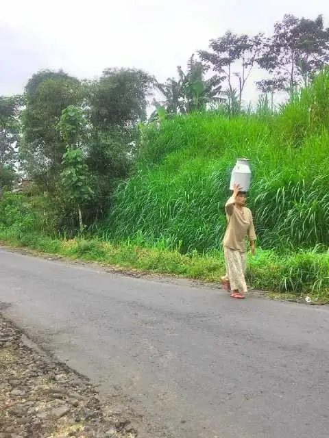 Gambar Makanan Depot Susu KUD Ganesha Batu 14