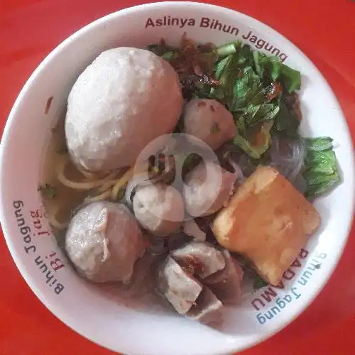 Gambar Makanan Wong Solo Mas Aldo, Sekarbela 5