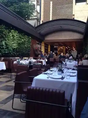 Nopa Restaurant'nin yemek ve ambiyans fotoğrafları 6