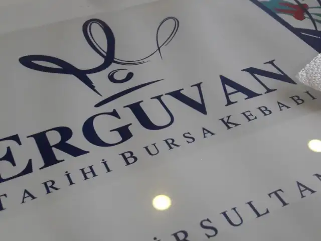 Erguvan Bursa Kebabı & Aile Çay Bahçesi'nin yemek ve ambiyans fotoğrafları 5