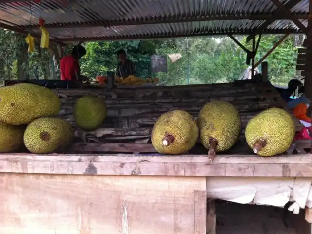 Nangka Madu Bentong Food Photo 14