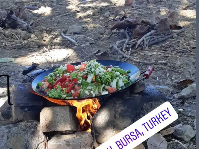 Çınar Altı'nin yemek ve ambiyans fotoğrafları 1