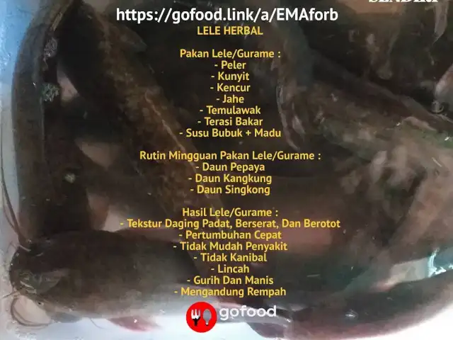 Gambar Makanan AYAM DAN BEBEK SPML, DUTA KRANJI 2