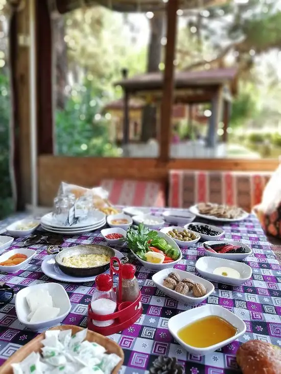 Paşa Kır Bahçesi'nin yemek ve ambiyans fotoğrafları 50