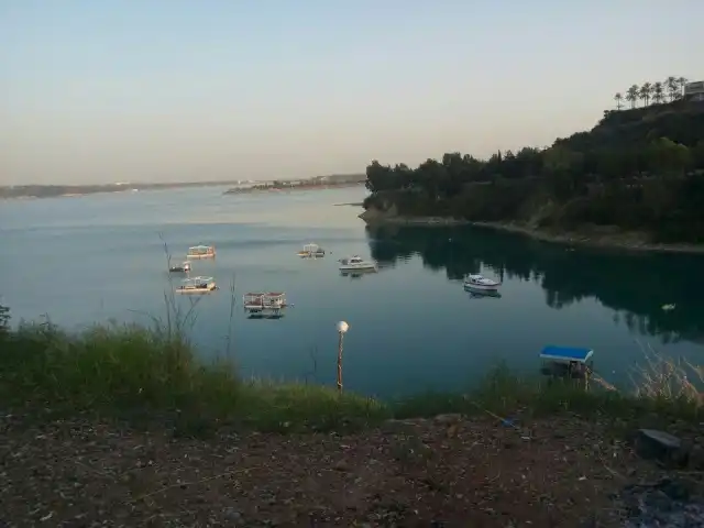 Adana Çoban Dede Kuş Cenneti Cafe piknik alanı'nin yemek ve ambiyans fotoğrafları 10