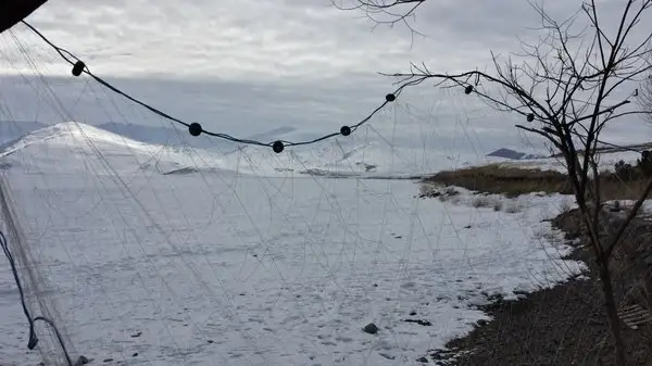 Atalayin Yeri'nin yemek ve ambiyans fotoğrafları 4