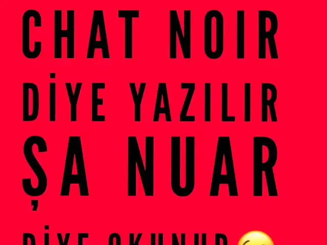 Chat Noir'nin yemek ve ambiyans fotoğrafları 7